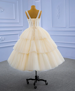 Ball Gown Homecoming Dress 3 Tiers Pleated Tulle Skirt